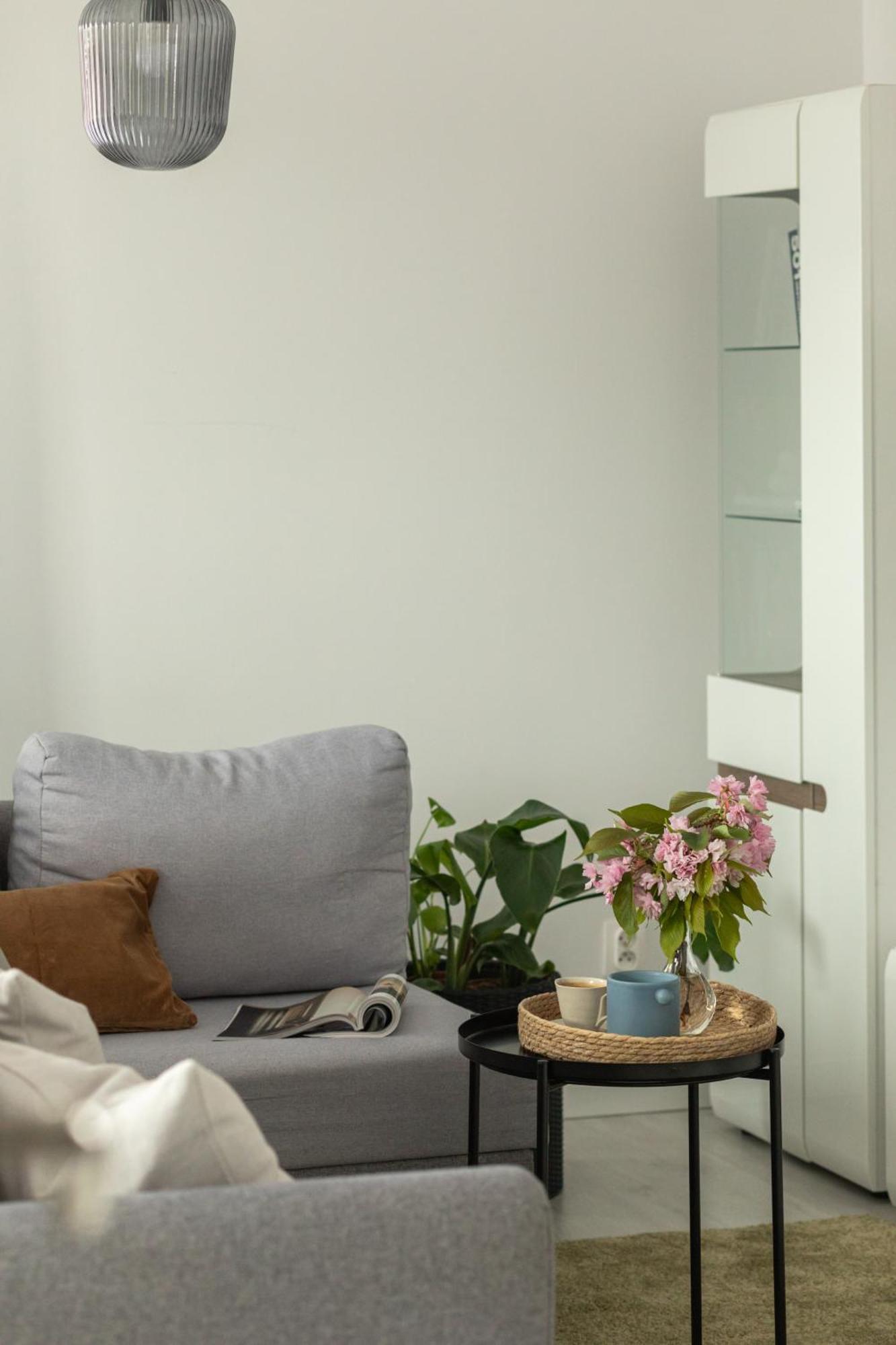 Ts Hello Apartment Szczecin